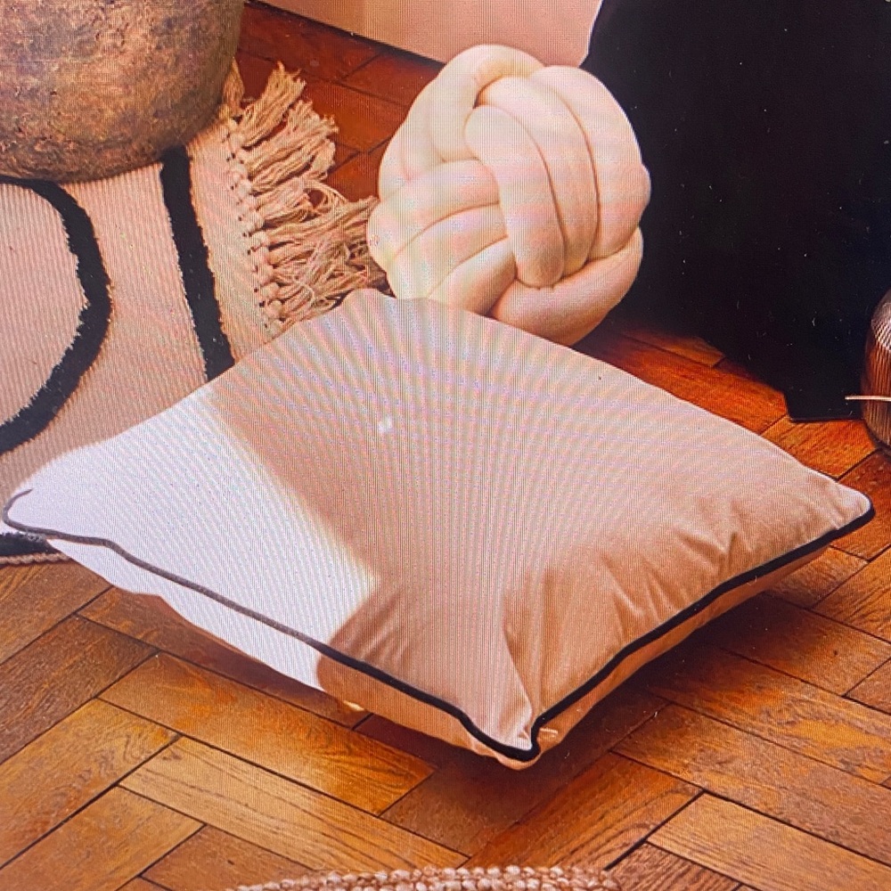 Beige Cushion with Black Trim